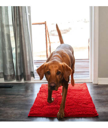 Tapis Microfibre Ultra-Absorbant et Antidérapant Lavable pour Chien - PawDry online