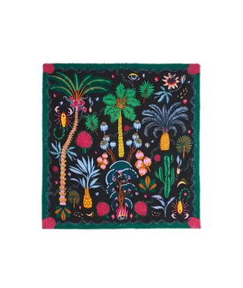 BIG Foulard Wild Herborium Noir pas chere